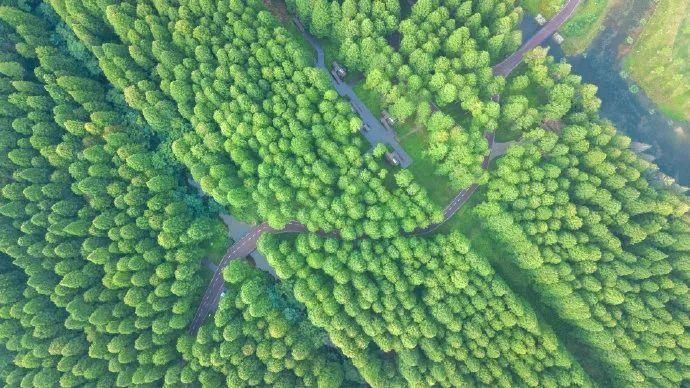  接地|“颜值高”“有内涵”“接地气”……打卡盐城，你想到了什么？