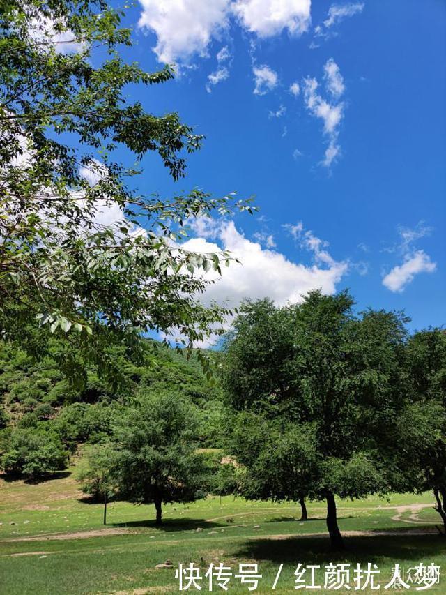 白色面板|感觉我用上了魅族17S Pro魅族17 Pro体验