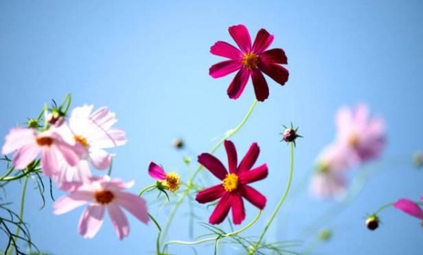  当头|不瞒你说：7月末3属相财运当头，出门有喜事，富贵进家门