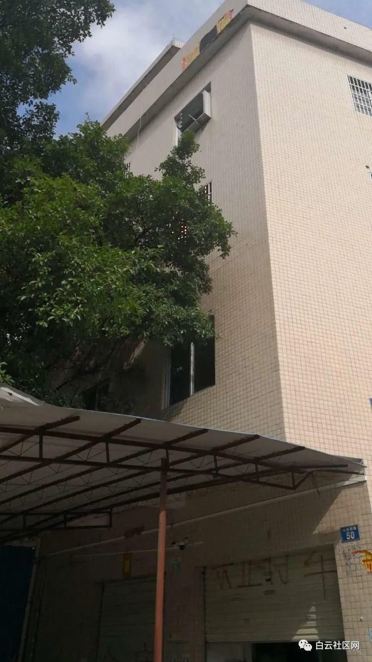 大型|大型假冒知名品牌化妆品包材生产窝点被端！