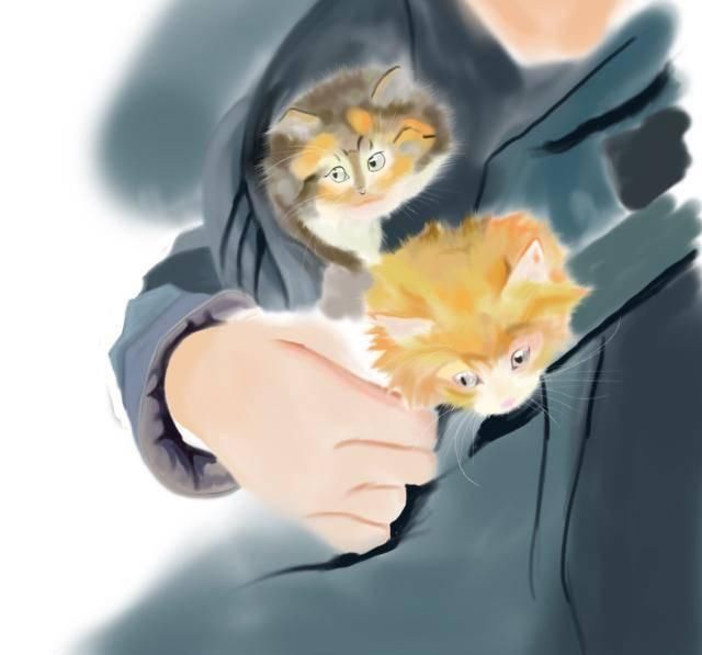  捡回|散养猫捡回三只小奶猫，主人都愣了：你不是已经绝育了吗