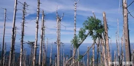 到底|地球最严重的大灭绝到底发生了啥？下一次大灭绝是什么时候？