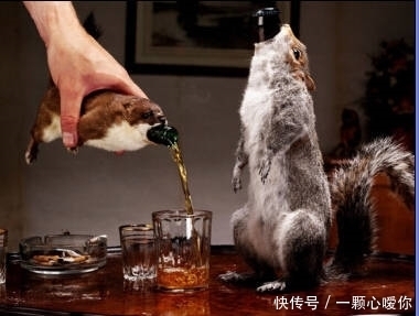 啤酒|国外奇闻,为什么外国人都这么奇葩