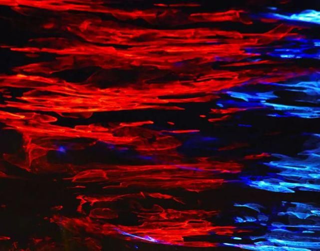  遐想|【视觉影像】津门网陈盈国：《界》遐想摄影展