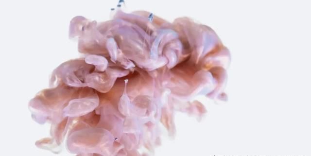  人格障碍|发现身边隐藏的“定时炸弹”｜几步教你了解、辨别反社会人格障碍