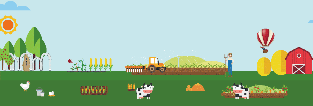 生姜|记忆中的崇明美味——地生姜