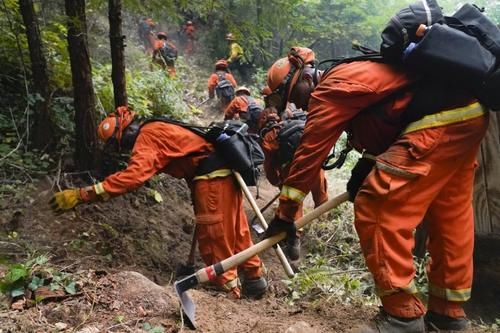 信用卡|消防员施救加州大火 窃贼偷消防车内钱包盗刷透支信用卡 被捕认罪