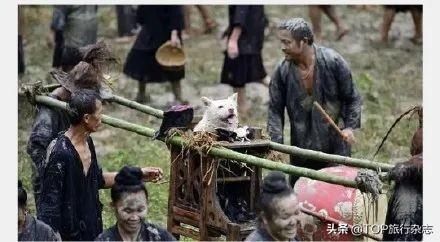 背着|背着狗讨百家饭！中国独有的关于“狗”的节日，一个天堂一个地狱