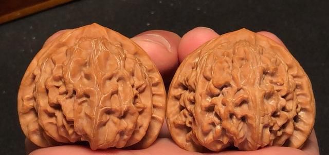  样子|好的核桃到底是什么样子的