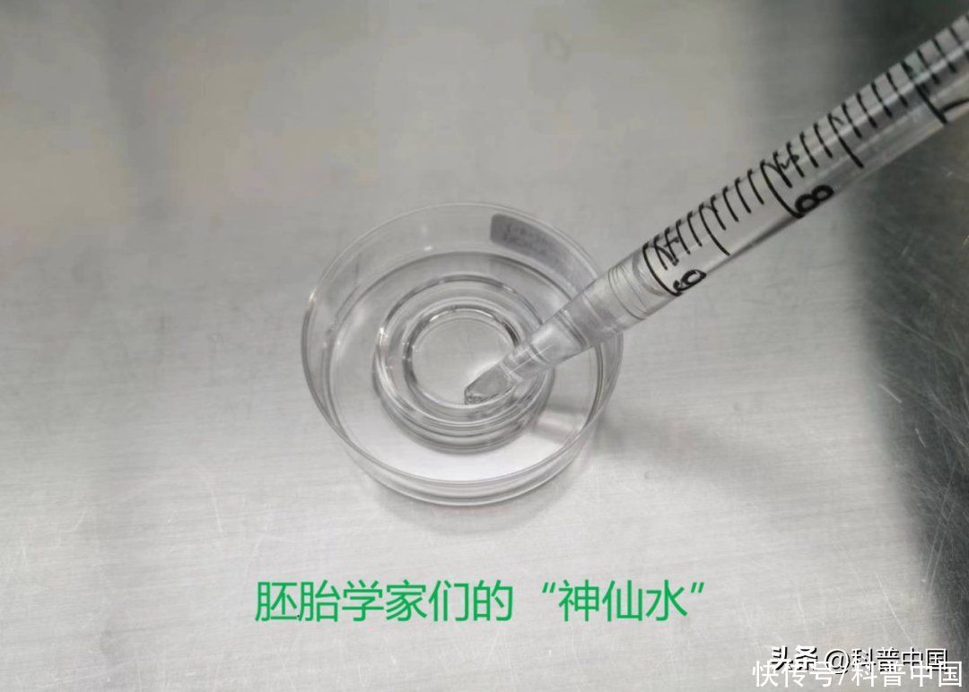 试管婴儿是在试管里出生的吗(试管婴儿就是从试管里出生的孩子吗？)
