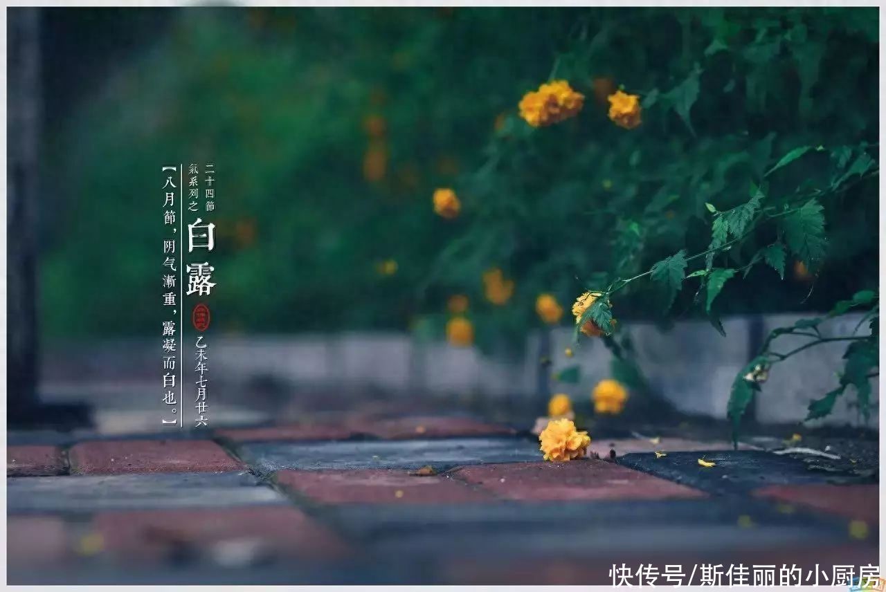 今日白露，老话说“白露吃3鲜,一年病不沾”，3鲜指啥？该咋吃？2023