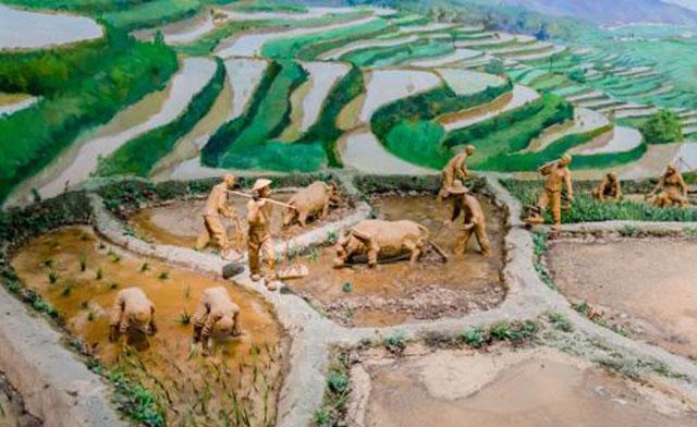  政府|古人如何应对暴雪天气？从南朝入手，看看古政府是如何救灾的？