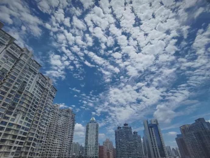 份魔|【探索】今日份魔都的蓝天白云,你心动了吗?