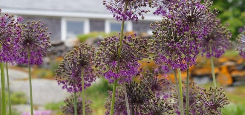  满面|未来30天，爱情将至！4大生肖桃花入命，正缘降临，春光满面