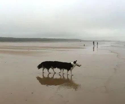  通知书|吴彦祖近照曝光；大张伟又添扎心金句；林俊杰粉丝录取通知书