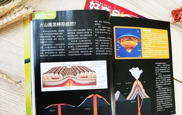  美国|美国顶尖儿童杂志授权，满足6-12岁孩子所有好奇心