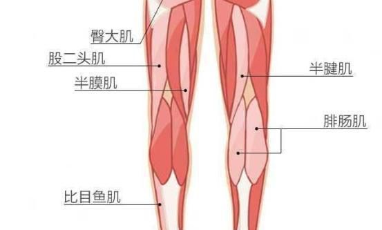  减肥|想要跑步减肥不伤膝盖，你需要这样做