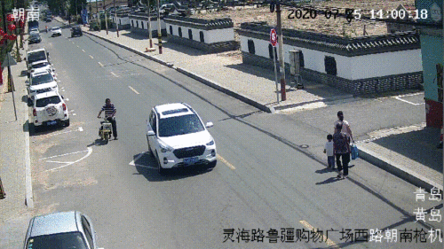  车主|贼喊捉贼！偷电动车被发现，他竟质疑车主是骗子