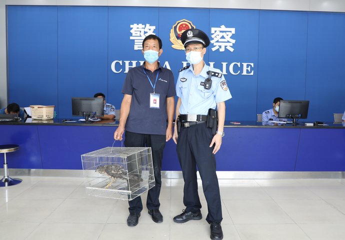  众人|佛山一神奇“偷鸡贼”被抓！“送”到派出所时惊呆了众人