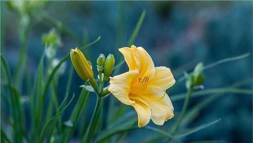  真朋|“真朋好友，一试便知”：用这四种方法验证朋友，会净化你的圈子