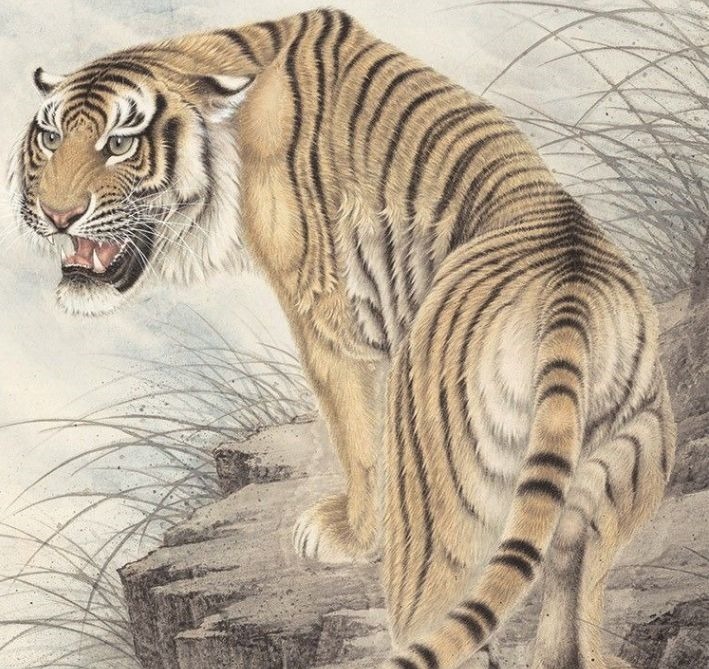 运程|人生苦短“虎人”未来“2020年”运程，该看看了！