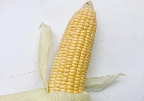 家小宝|烈日炎炎,宝宝不爱吃饭,口味清甜的玉米泥米糊,让宝宝吃不够