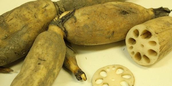 维生素|女性过了30岁，4种食物要多吃，养肝排毒，不妨一试