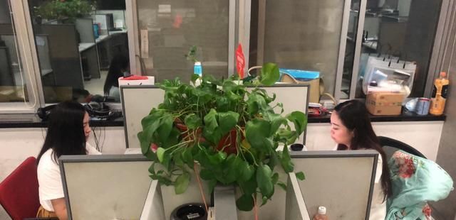  部队|记者手记 | 我去杨根思部队拍了一期“变形计”