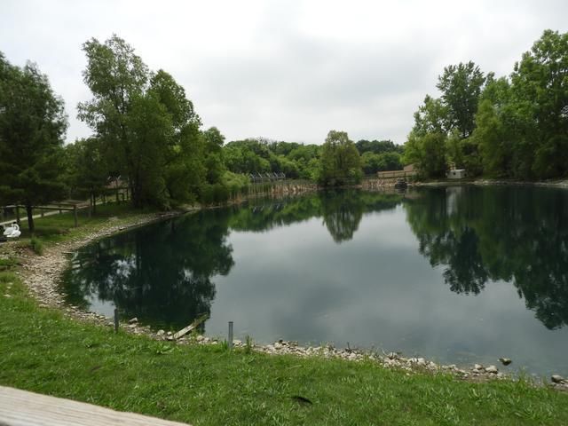  失踪|16岁花季少女突然失踪，两天后尸体漂在一个池塘里，男青年被捕