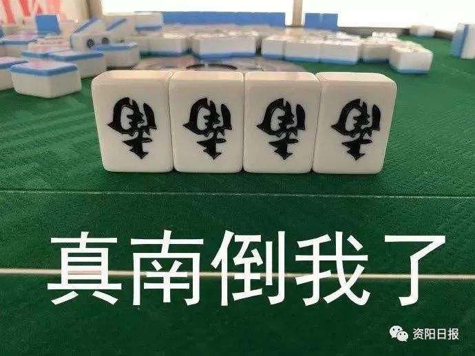  只管|狗咬狗该谁管？ 派出所：我们只管狗咬人