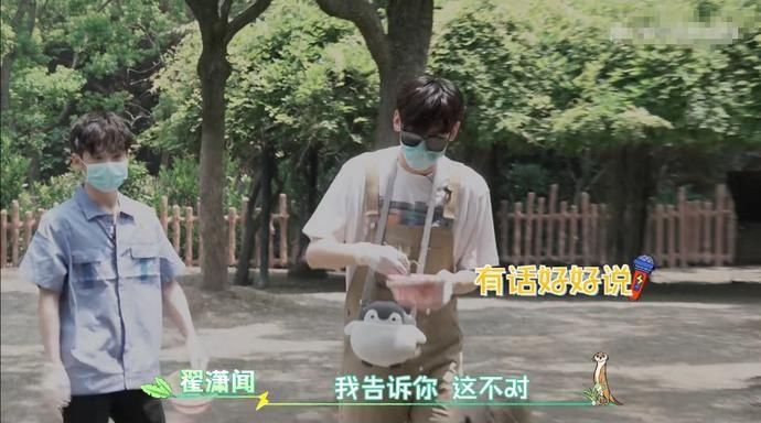  吓到|R1SE小团综：何洛洛给羊驼剪毛吓到周震南，任豪气场压制河马