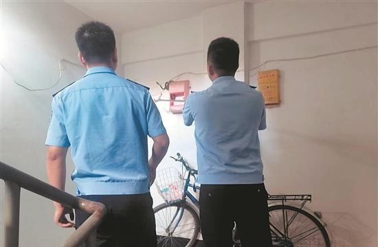 惊魂|惊魂瞬间 沙发奶箱都钻出了蛇
