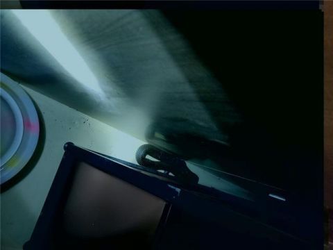 消防员|眼镜蛇深夜“造访”便利店 消防员捕获放归大自然