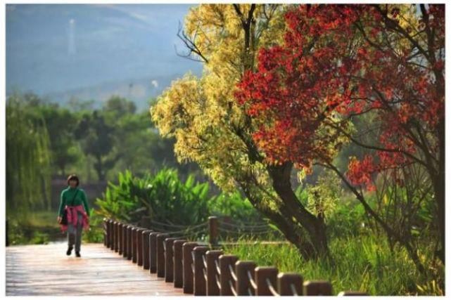  开远市|开远市“产业+生态”：“污染之城”华丽转身的金钥匙