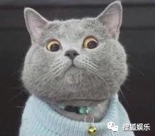 出轨|“方一凡”周奇恋情曝光?何猷启出轨?万茜车祸骨折12天后就复工?