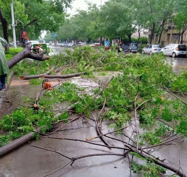  出行|【百姓大爆料】河面飘浮垃圾市民希望快清理|排查危险树木确保市民降雨天出行安全|汽车停这儿 人走哪儿？