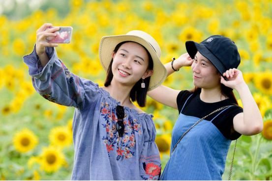  豪宅|世界上最浪费的城市：投资过亿的豪宅被荒废，民众请愿拆除也没用