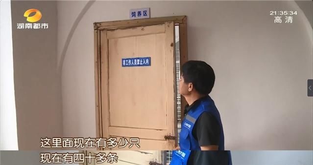 公园|长沙养犬的注意了！延长整治行动两个月，不戴嘴套、遛狗不牵绳…无证养犬直接扣留