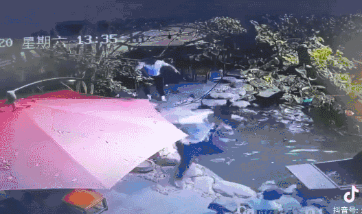 征集志愿|早新闻丨广西一男子带孩子坐扶梯只顾玩手机,揪心的一幕发生了