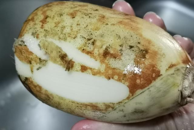  好喝|教大家做一道美味的花生莲藕猪骨汤，非常简单，好喝到一滴不剩