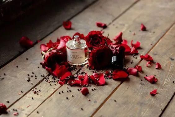 沙龙|秋冬最脱俗的味道,16款小众沙龙香