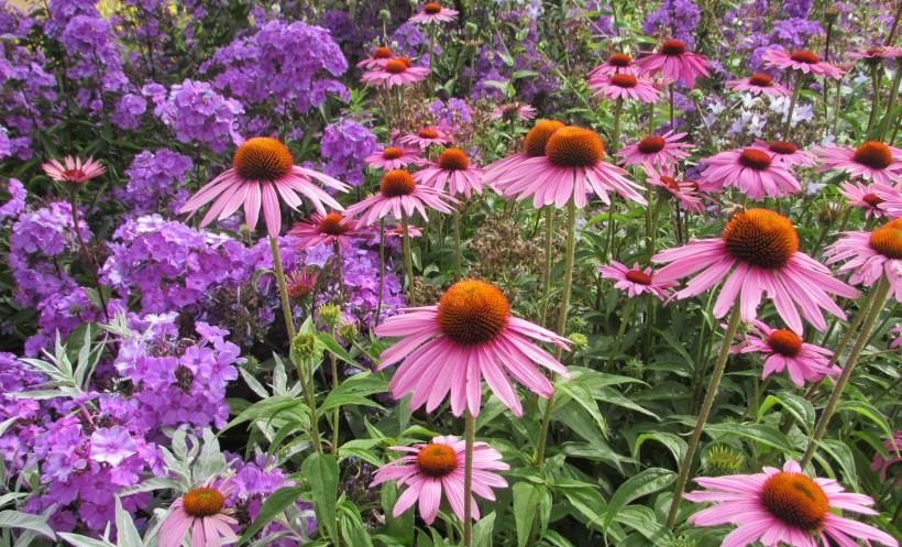  求财|9月第一周，事业风生水起，运势翻倍涨，求财得财的四大生肖