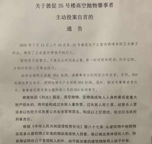  费用|有《民典法》保障，高空玉米伤人后物业要全楼验DNA，肇事者付全部费用