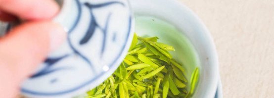  海拔高度|海拔越高，茶叶品质越好？