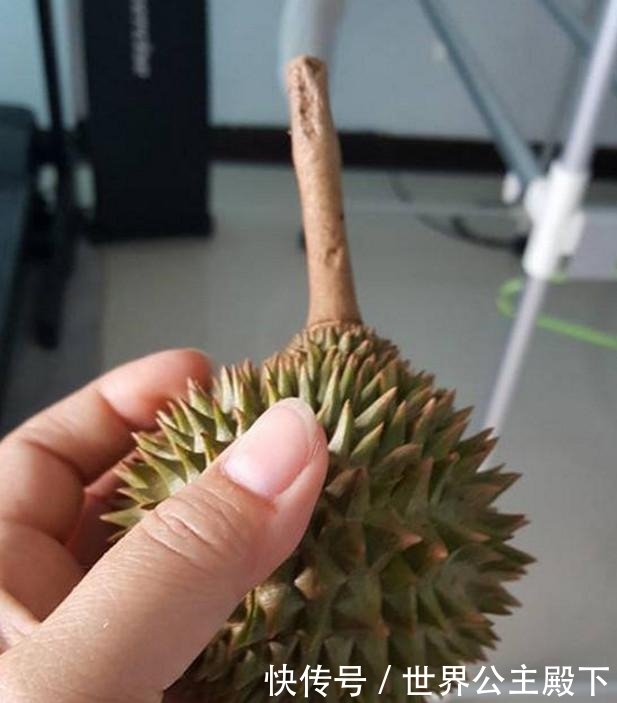 果肉|女子买了个小榴莲,家人看到以为白瞎了,剥开看到果肉别提多开心