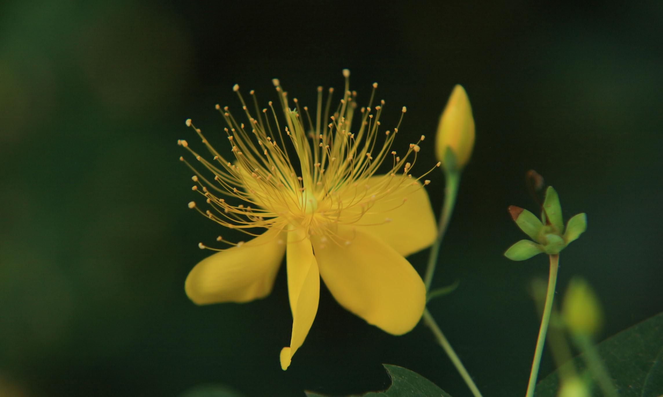 疏远|成年人“疏远”潜规则:不回消息