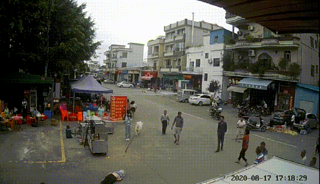  责任|老人被狗绳绊倒，重摔身亡！牵狗女孩逃离现场