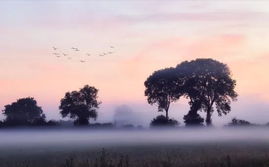 双色球|双色球杂谈：有恒心者，快乐常在