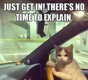 收藏|杭州美食攻略奉上,带你从早吃到晚!请收藏!