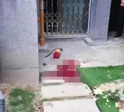  从建筑物|实案学法：《民法典》高空抛物篇